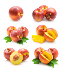 set of nectarine (peach) images