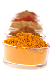 Indian spices