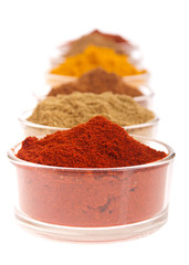 Indian spices