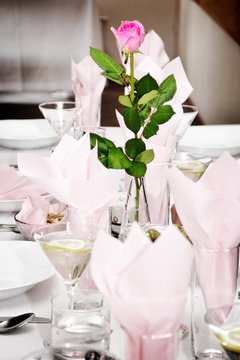 Pink rose on the festive table