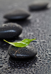 Obraz na płótnie Canvas Massage stones with leaf