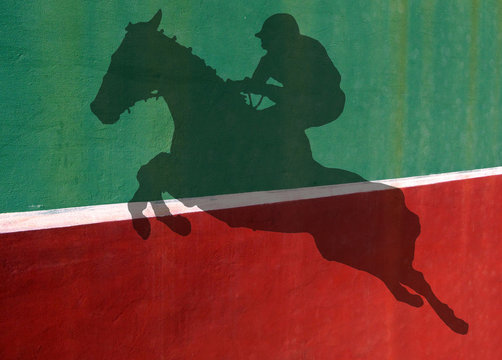 Not Quite Tennis - Show jumper Silhouette Against Practice Wall