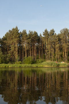 Ostrowy