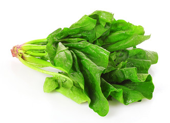 Bunch of spinach isolated on white background