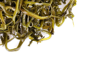 Sliced laminaria isolated on the white background
