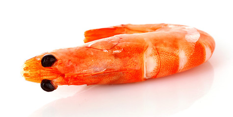 Cooked shelled tiger shrimp isolated on white