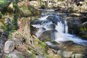 Arroyo Solana Toro