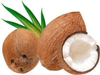 coconut isolated on white background