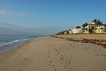Hotels of Palm beach
