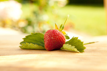 Erdbeeren