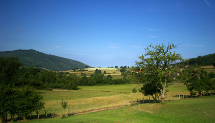 Paysage bourguignon.