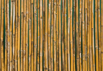 bamboo wall decorate