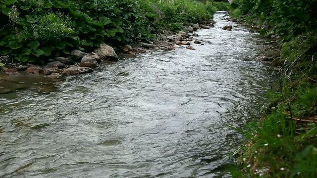 Torrente