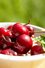 bunch of fresh,juicy, ripe cherries, shallow dof