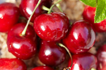 bunch of fresh,juicy, ripe cherries, shallow dof