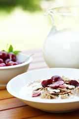 bowl of muesli with fresh fruits as diet food