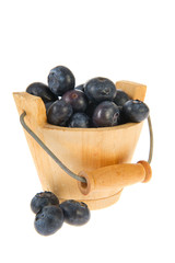 Bucket blueberries