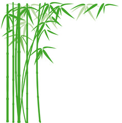 green bamboo backdround