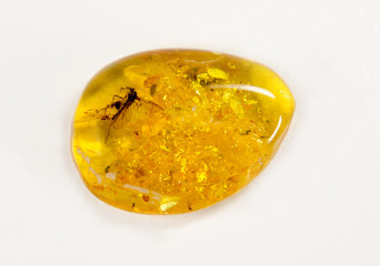 amber with insect inclusion