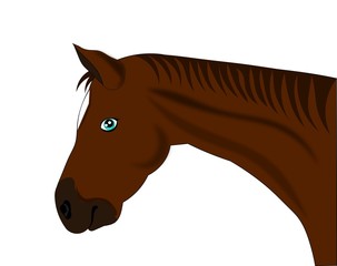 Fototapeta na wymiar Horse illustration