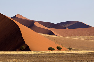 Sanddünen
