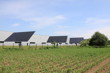 Solar Power Station in the green spring Nature