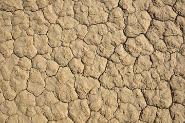 Background: Revealed bottom of  Racetrack Playa, Death Valley