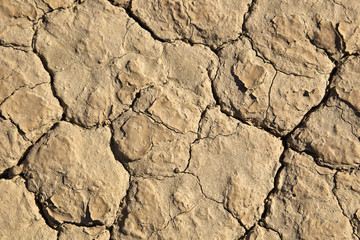 Background: Revealed bottom of  Racetrack Playa, Death Valley