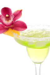Margarita cocktail orchid flower in chilled salt rimmed glass wi