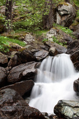 Obraz premium cascata nel bosco