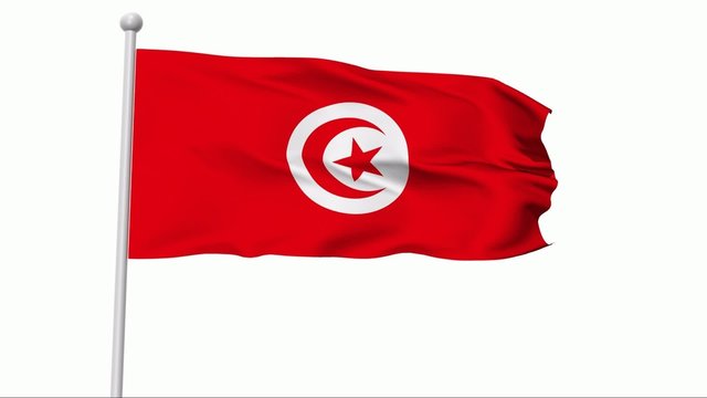 Fahne Tunesien PAL
