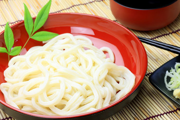 Japanese dish(hiyashiudon)