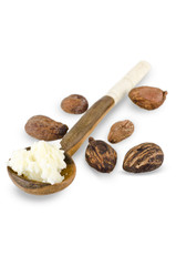 spoon of shea butter cream and shea nuts