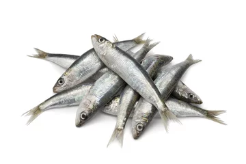 Foto auf Acrylglas Antireflex Fresh raw sardines © Picture Partners