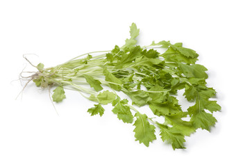 Fresh winter cress