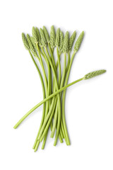 Wild green asparagus