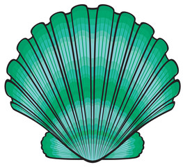 Vector Seashell