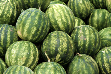 Pile of  Watermelons, Texture and Background