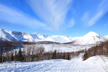 tundra landscape