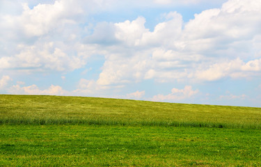 Fototapeta na wymiar Meadow z białymi chmurami na błękitnym niebie