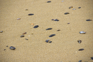 Beach sand texture.