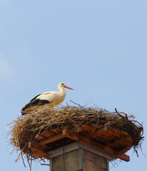 Stork's nest