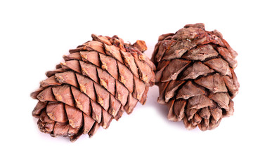 Two pine cones