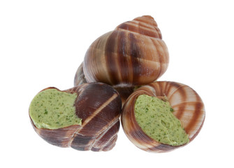 Weinbergschnecke