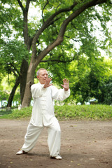 chinese do taichi outside