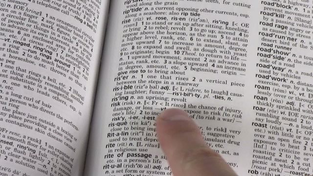 Dictionary terms RISK - HD