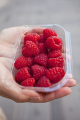 raspberries in woman hand