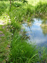 Weier, See - Naturschutzgebiet