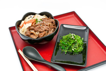 Japanese Cuisine on white background