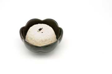cooked rice on white background